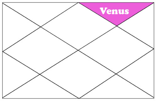vedic astrology venus in 12th house