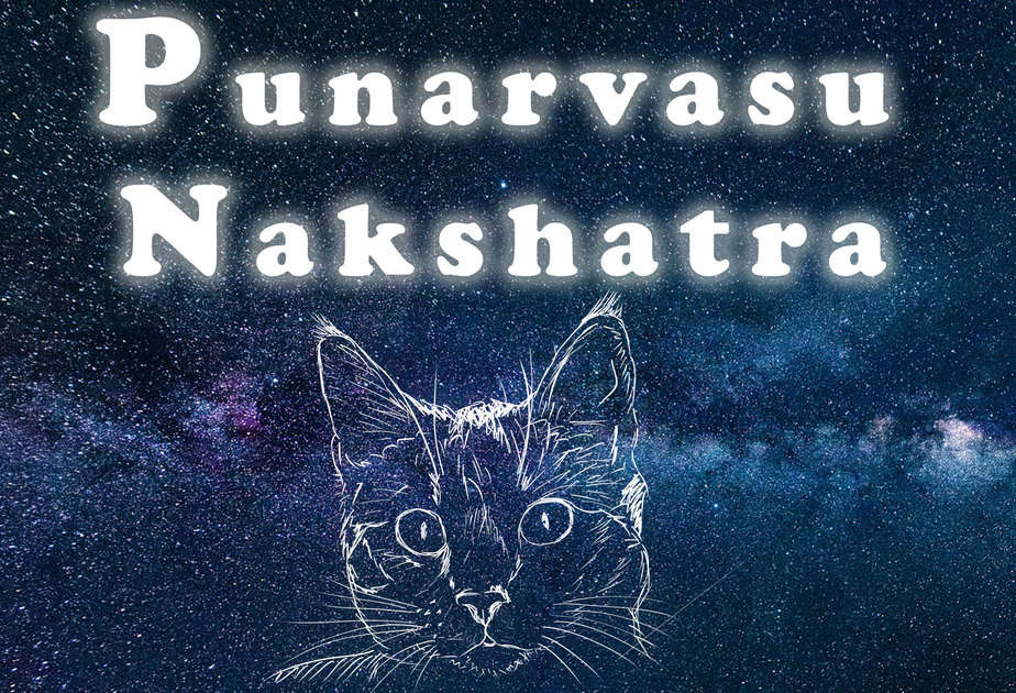 Punarvasu Nakshatra Vedic Astrology