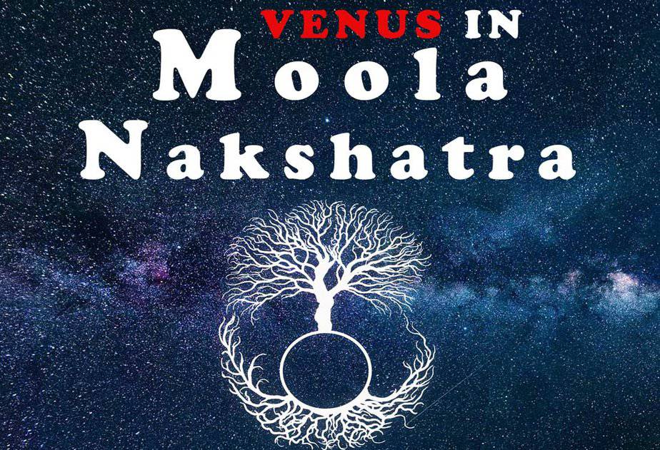 Venus in Moola Nakshatra